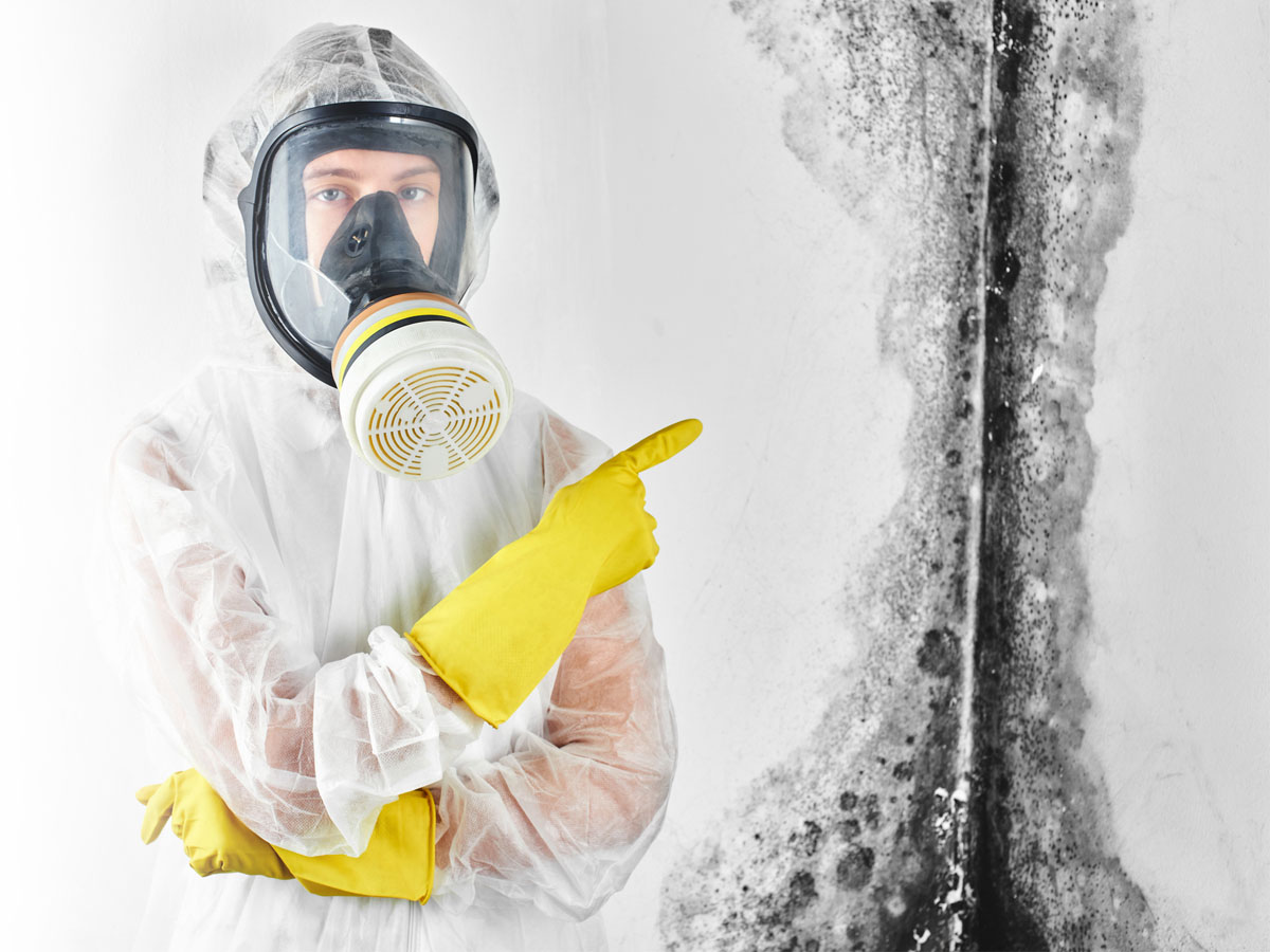 Mold remediation specialist pointing at mold at a home in Crestview, FL